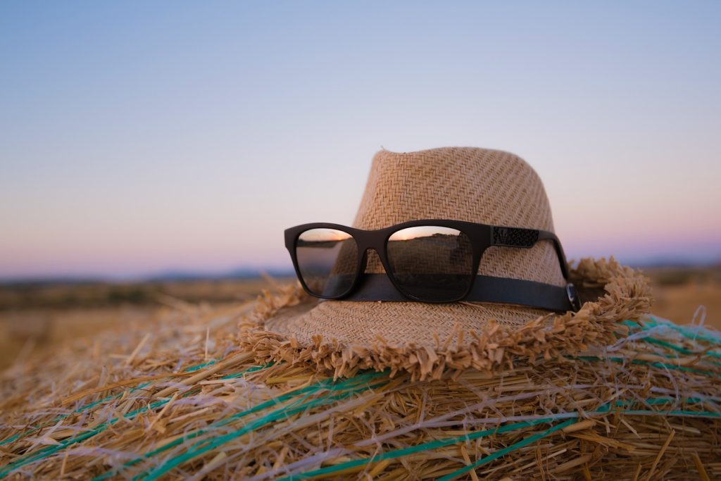 hipster, hat, nature-863370.jpg